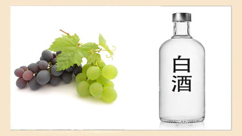 酒桌上“千杯不倒”的秘密，快來看看你知道幾個