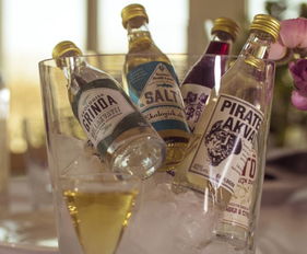 瑞典酒精飲料企業(yè)尋求中方合作伙伴 共拓酒精與脫醇酒市場新機遇