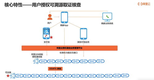 構(gòu)建可信、可知、可追溯的用戶通信授權(quán)服務(wù) 技術(shù)深度解讀